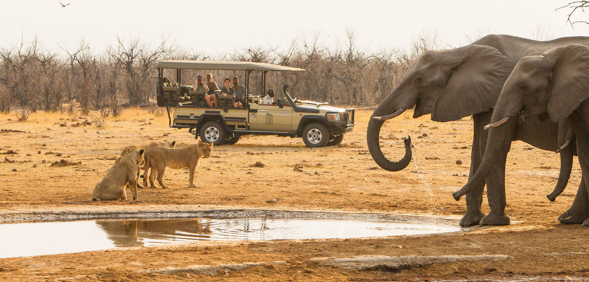 Gateway To Botswana Cover Image